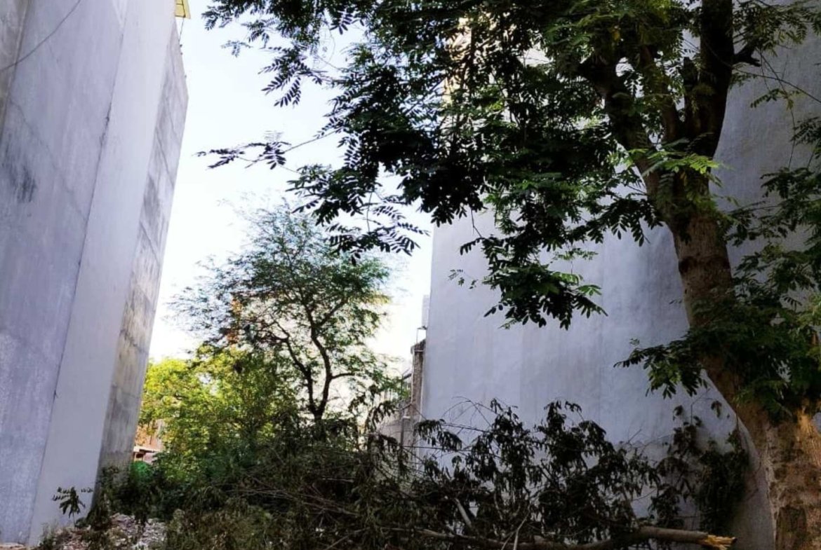 Prime Plots for Sale in Vasant Kunj Enclave (1)