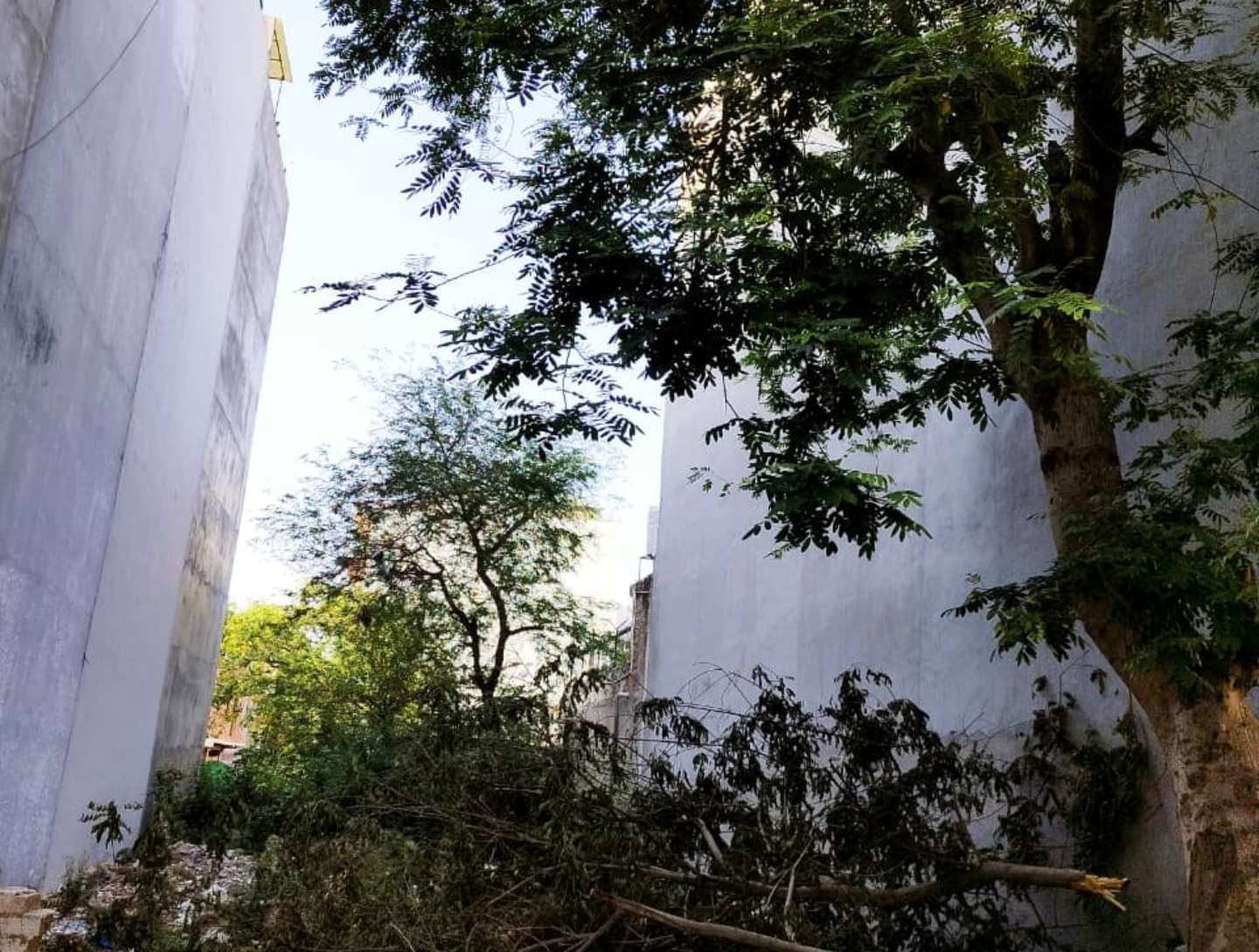 Prime Plots for Sale in Vasant Kunj Enclave (1) Prime Plots for Sale in Vasant Kunj Enclave (1)