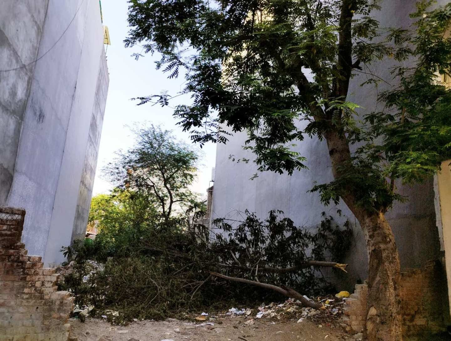 Prime Plots for Sale in Vasant Kunj Enclave